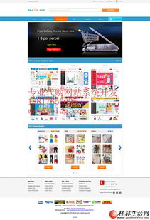 日本代購網站建設公司,雅虎代拍代標系統